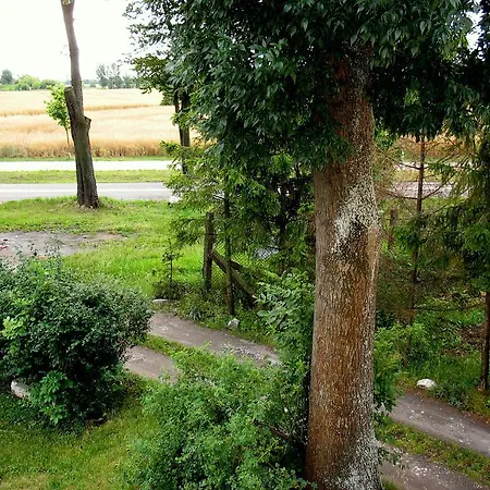 Apartamenty Stajni Jazon Malbork Zimmer foto