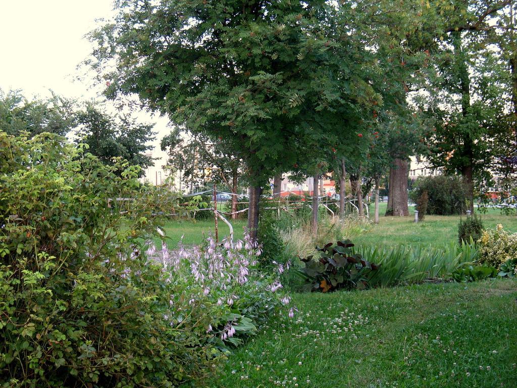 Stajni Jazon Apartment *